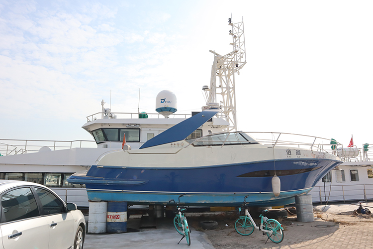 “珠海应急001”、“交通09”船艇甲醛治理工程